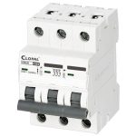 Clopal Breaker Tp 63A