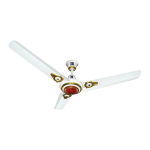 Pak Fan Classic Series - Premio Big