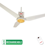 Royal Fans Passion Flora - ACDC Rechargeable Ceiling Fan