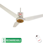 Royal Fans Passion Flora - ACDC Rechargeable Ceiling Fan - Image 2