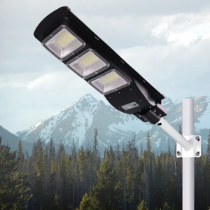 Coarts Econo 90W Solar Street Light